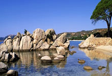 天涯娱乐圈十大神贴：娱乐圈十大神贴盘点，当年天涯论坛上的爆红帖全汇总！